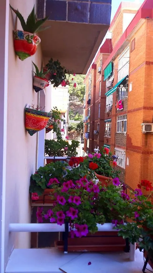 Homestay La Casa De La Abuela Rosy Apartment Malaga